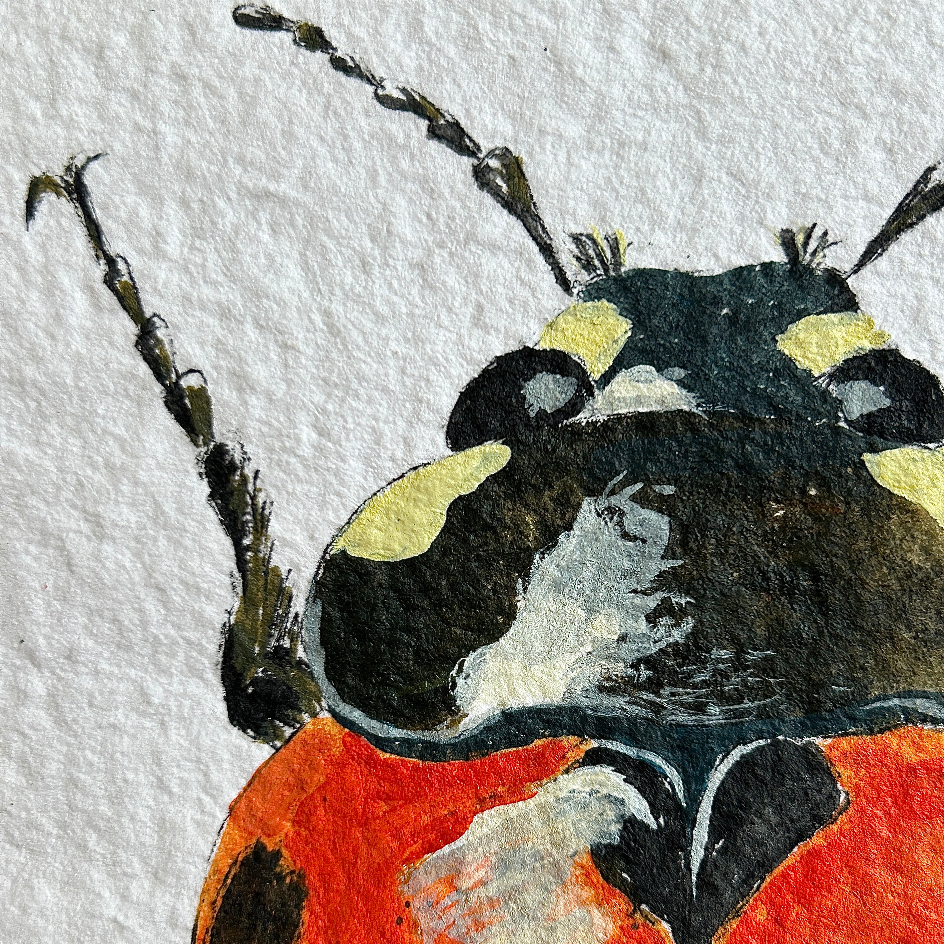 Close-up of a watercolor painting of a ladybug on textured white paper.