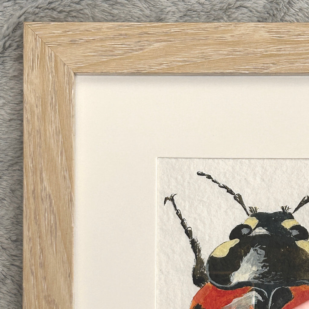 Framed artwork of a beetle, close up showing the corner of the artwork and the corner of the frame.