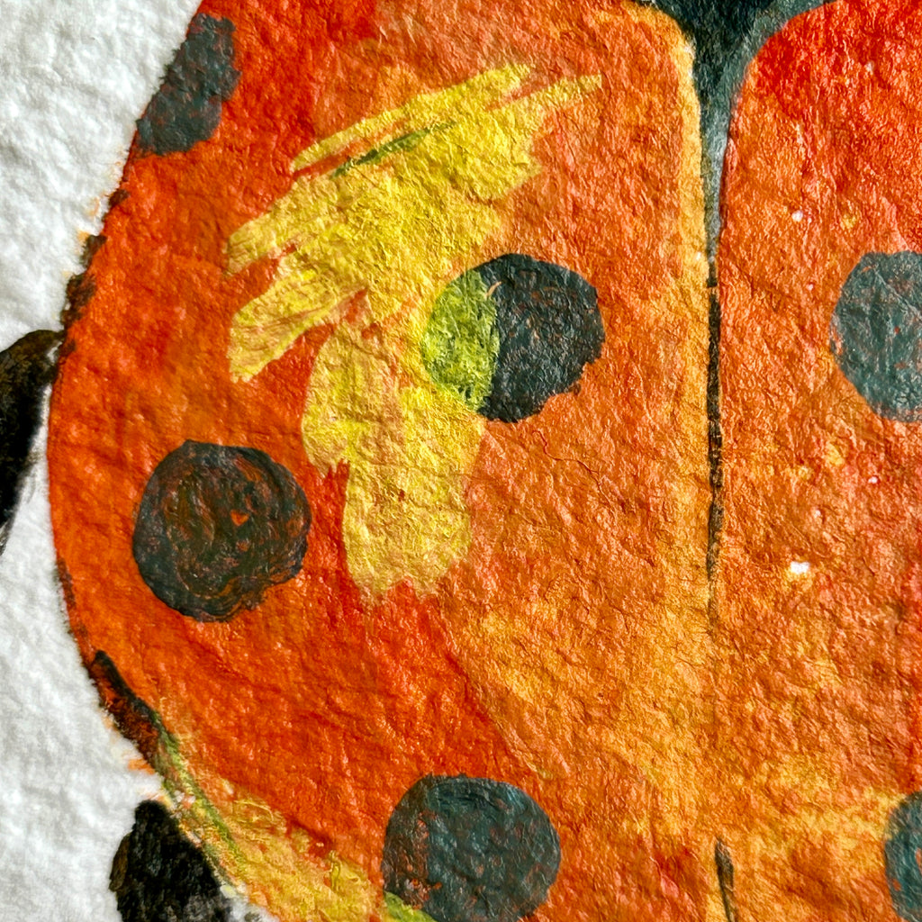 Close-up of a ladybug with reddish orange wings featuring black spots and a yellow highlight on a textured white background.