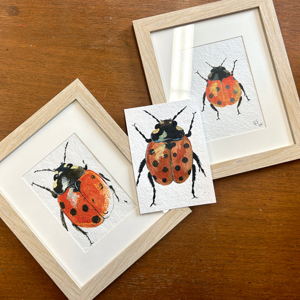 Framed and unframed illustrations of ladybugs on a wooden surface. 