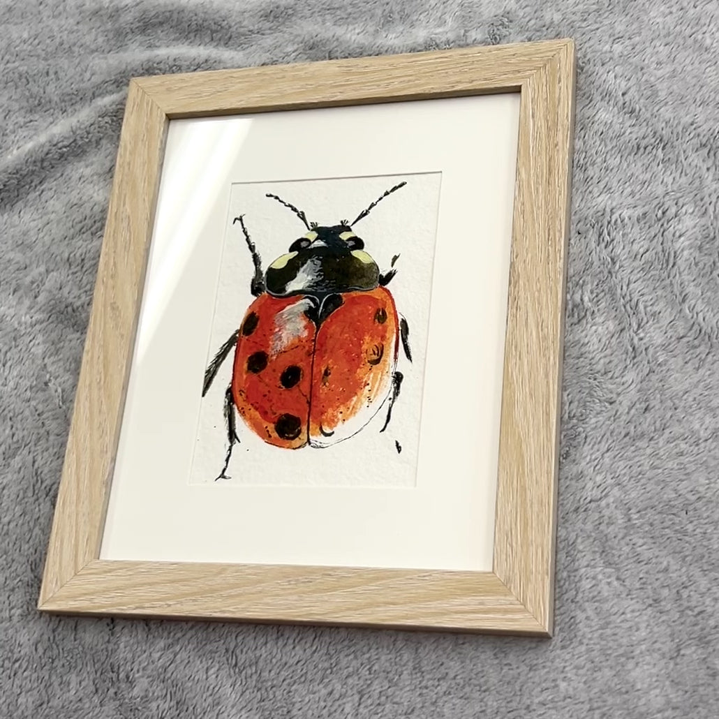 Short video showing the original artwork of a ladybug from different angles.